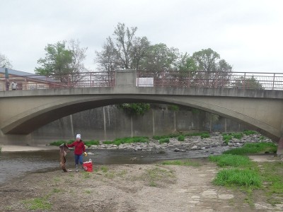 Helfende Hände bei der Elbwiesenreinigung in Dresden