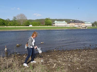 Frau sammelt Müll an der Elbe vor Schloss Pillnitz