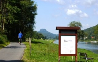 Radfahrer am Elberadweg in der Sächsischen Schweiz