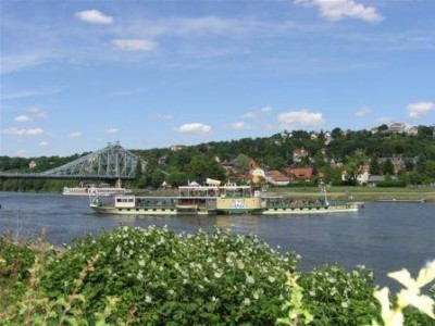 Schaufelraddampfer der Sächsischen Dampfschifffahrt auf der Elbe, Blick vom Elberadweg Schaufelraddampfer der Sächsischen Dampfschifffahrt