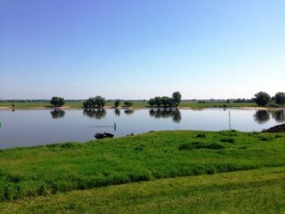 Elbauen in der Niedersächsischen Elbtalaue