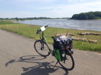 Fahrrad auf dem nördlichen Elberadweg