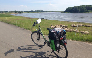 Fahrrad auf dem nördlichen Elberadweg