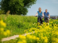 Fahrradfahrer am Elberadweg (c) Robert Michalk Photography
