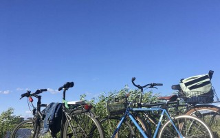 Per Fahrrad unterwegs am Elberadweg