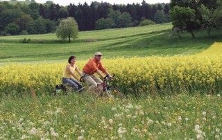 Radfahrer am Elberadweg (c) velociped
