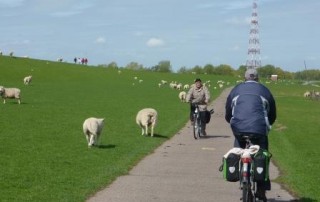 Radfahrer bei Wedel