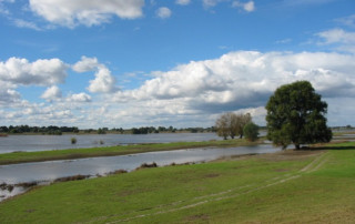 Elberadweg bei Wittenberge